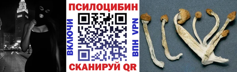 купить наркотик Сызрань Псилоцибиновые грибы GOLDEN TEACHER